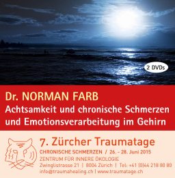 Norman Farb - Achtsamkeit und chronische Schmerzen, Emotionsverarbeitung im Gehirn