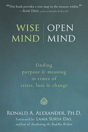 Wise Mind - Open Mind